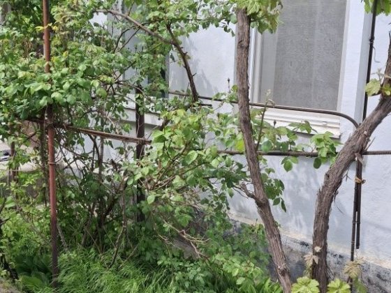 Продаётся  добротный дом в Варваровке. Миколаїв