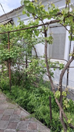 Продаётся  добротный дом в Варваровке. - фото 1