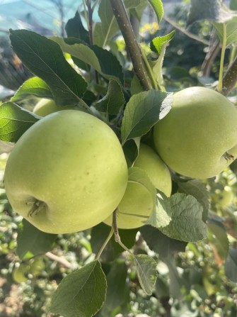 Продам дом,до центра 10 минут. - фото 1