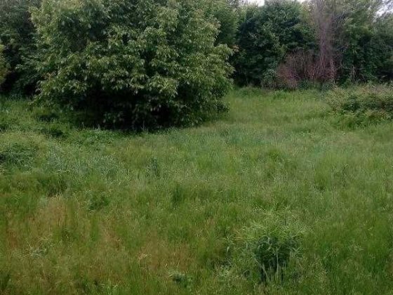 Продам ділянку з будинком під ремонт Баварія Харьков