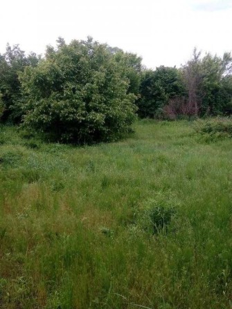 Продам ділянку з будинком під ремонт Баварія - фото 1