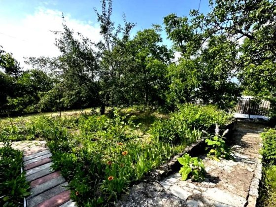 Дача за Варваровкой‼️ Лазурное в пригороде не большой дом+ земли 7 сот Миколаїв