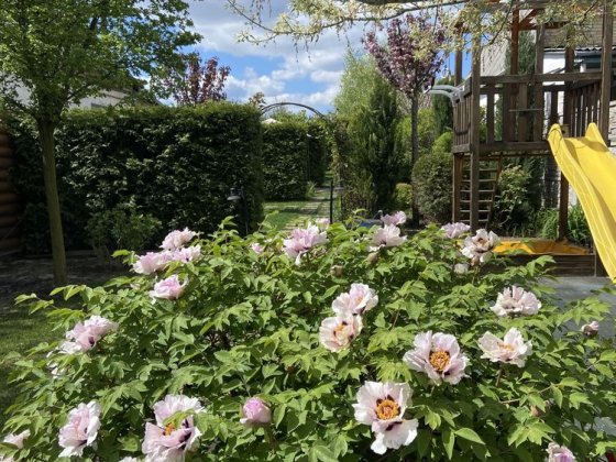 Продам свій будинок з бомбосховищем. Пп Борщагівка. 1.5 км окружна. Петропавловская Борщаговка