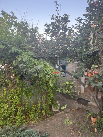 Дача в черте города - фото 1