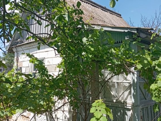 Продаю дачу " Дружба-1" Николаев