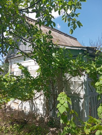 Продаю дачу " Дружба-1" - фото 1