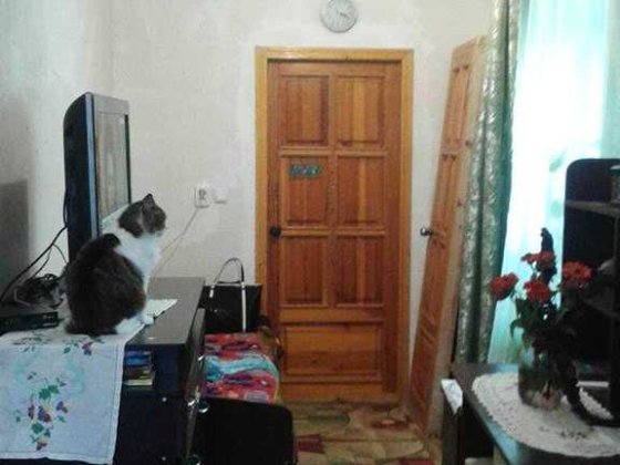 ПолДома - 2 комн. смежные; Район Соляные-Гвардейская; Миколаїв