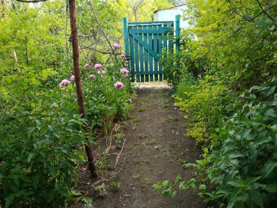 Продам дачу, Кооп.Спартак, ст. Рассвет Харьков