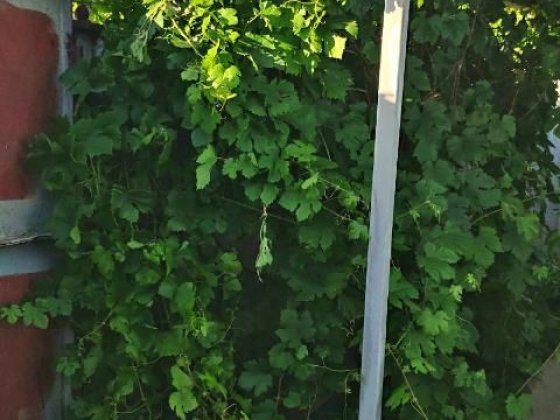 .   Продам полдома Харків