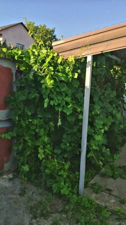 .   Продам полдома - фото 1