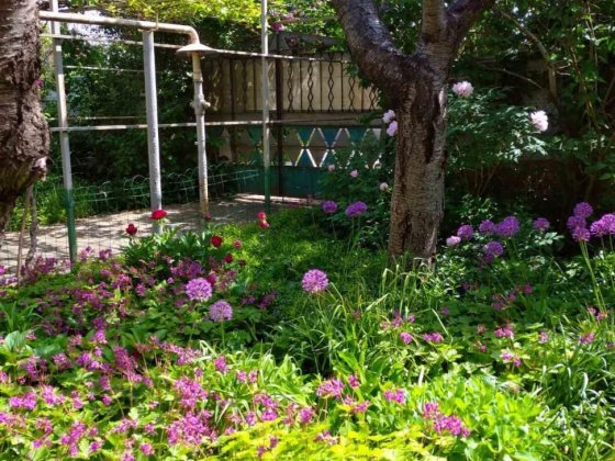 Участок в Черноморке 7 соток (кадастр) МОРЕ в 100 метрах (156-018) Одеса