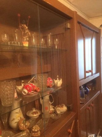 Оренда 1-кімнатної квартири ДНС - фото 1