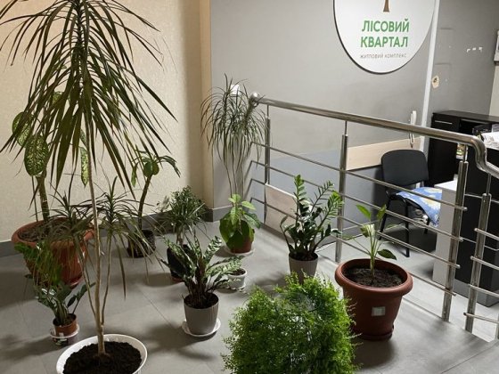 Сдам 1 комнатную квартиру  в ЖК  "Лесной Квартал" Бровары