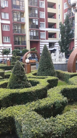 Оренда 1 кім  Ірпінь жк"Версаль парк " - фото 1