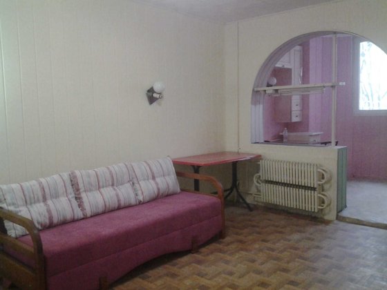 Однокімнатна квартира на Східному-3 по вулиці Лісового, буд. 44 Кривой Рог