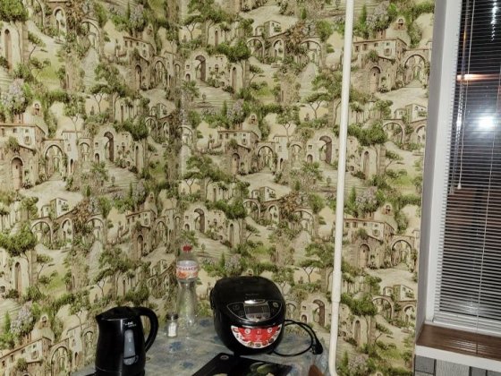 Оренда 1 кімнатної квартири Рівне