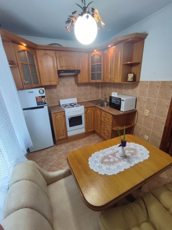 Оренда 1 кімнатної квартири на Відінській - фото 1