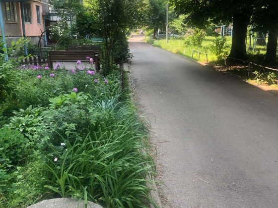 Пропоную в оренду 1 кімнатну квартиру Черкаси