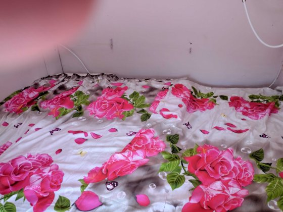 Оренда з реєстрацією (пропискою) квартири  у м. Ужгороді Ужгород