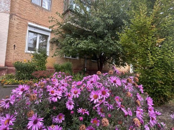 Здам 2- кімнатну кварту в районі Площі Чернігів