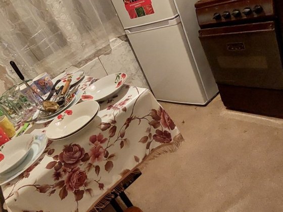 Сдам СВОЮ, 1 комн. квартиру, Кр.Камень, р-н метро Днепр