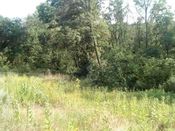 Продаю ділянку в затишному місці з приємним краєвидом та лісом поруч Обухів