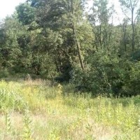 Продаю ділянку в затишному місці з приємним краєвидом та лісом поруч Обухов