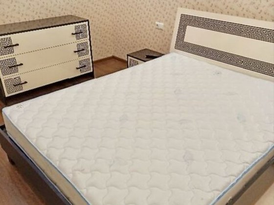 2 кімнатна квартира на вул В. Перспективна Кропивницкий