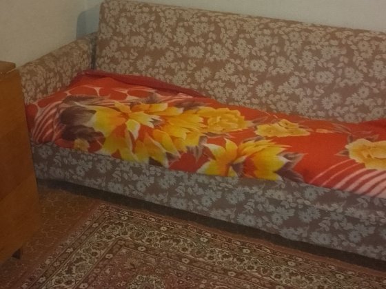 Здається квартира Дендропарк Кропивницький