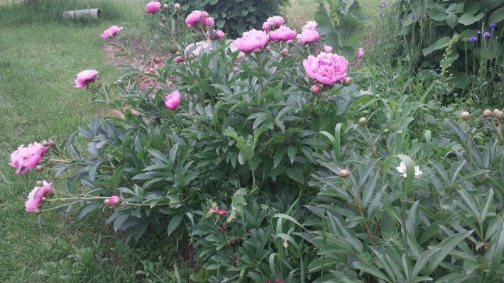 Ділянка під гараж - фото 1