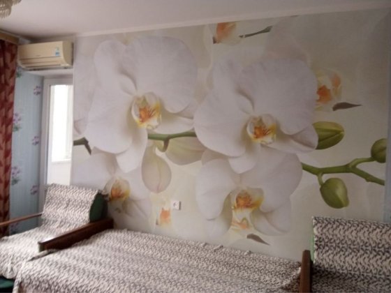 Здається однокімната квартира на 101 районі. Кропивницький