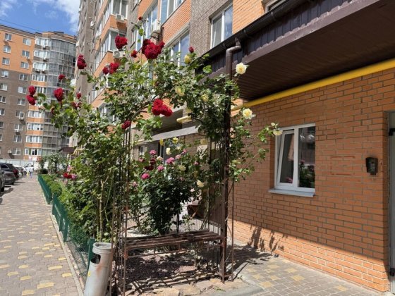 Оренда квартири . Вінниця. Житловий комплекс « Набережний квартал» Винница