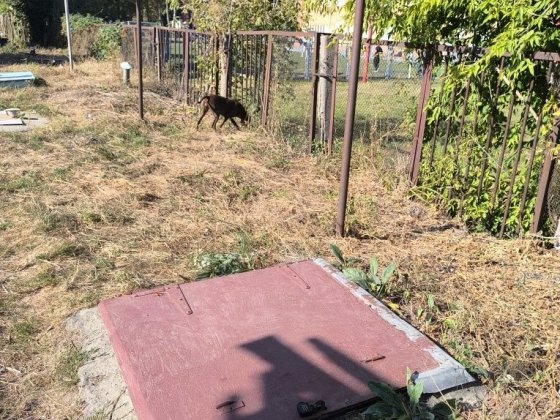 Продам погріб Торгмаш Бровары