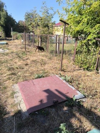 Продам погріб Торгмаш - фото 1