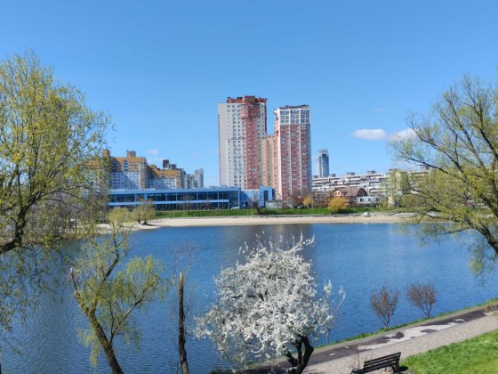 Здам 1-к квартиру на тривалий термін Киев