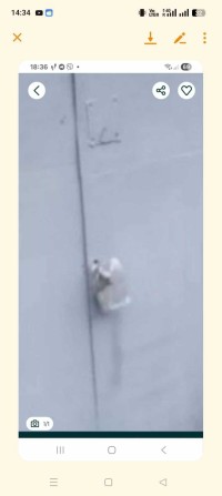 Здам гараж 5 кооператив район порт - фото 1