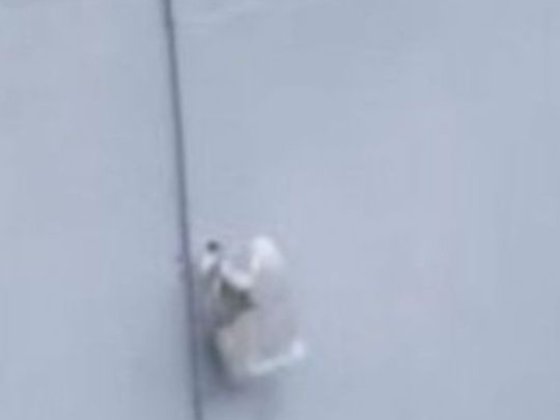 Здам гараж в кооп 5 Порт Конотоп