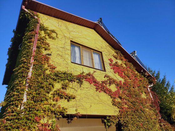 Часть дома с отдельным входом / квартира в частном доме) Дніпро