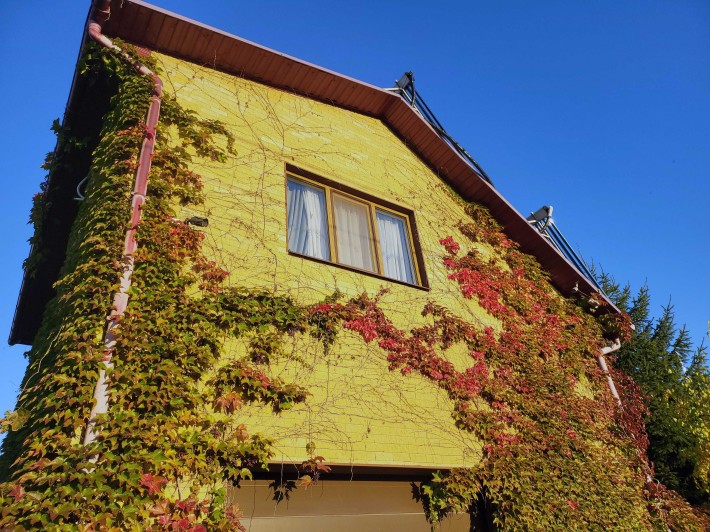 Часть дома с отдельным входом / квартира в частном доме) - фото 1