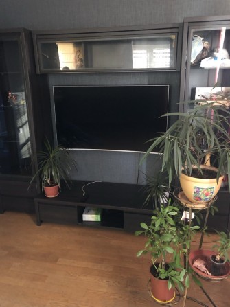 Сдам 1 кв Одесская Sanmool, Байрона 6000+свет. - фото 1