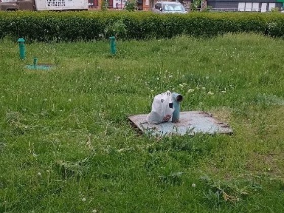 погрибна попова незалежності Соколівське