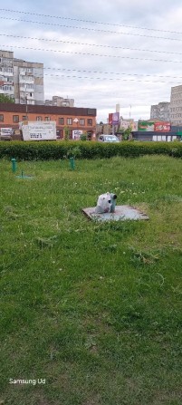 погрибна попова незалежності - фото 1