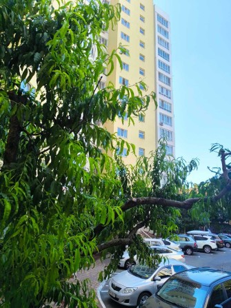 Сдам 2-х комн. кв. на ул. Говорова /  Кленовой / парк Победы seg-01 - фото 1