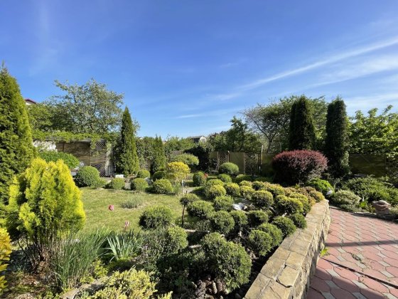 Оренда будинку в місті Хмельницькому!Вільний! Хмельницкий