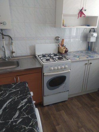 Будинок зі зручностями ( індивідуальне газове опалення) - фото 1