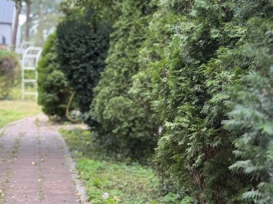 Здам в оренду Будинок в Бучі централтна частина Буча