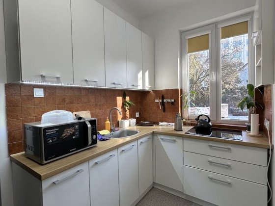 Оренда особняк будинок центр міста вул.Гриневичів 2