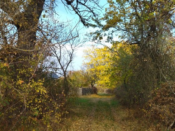 Сдам в аренду или продам участок с домиком Кременчук