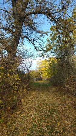 Сдам в аренду или продам участок с домиком - фото 1