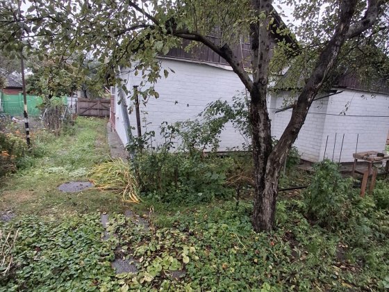 +Гараж Аренда дома 3 ком